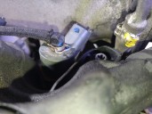 Replacement complete engine for Fiat Doblo Cargo (223) 1.9 JTD CAT OEM IAM reference 223A7000 71738903 