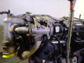 Replacement complete engine for Fiat Doblo Cargo (223) 1.9 JTD CAT OEM IAM reference 223A7000 71738903 