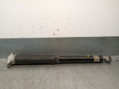 Recambio de amortiguador trasero izquierdo para ford puma 1.0 ecoboost cat referencia OEM IAM L1TC18080DG 2467603 