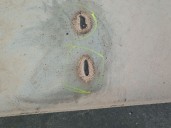 Recambio de tubo escape trasero para jeep compass (mp, m6, mv, m7) 2.0 crd 4x4 referencia OEM IAM 68249242AB 68249242AB 