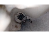 Recambio de deposito limpia para renault master kasten 2.3 dci diesel cat referencia OEM IAM 2891000023R 289100030R 