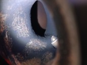 Recambio de filtro de particulas para jaguar f-pace (x761) 2.0 td4 referencia OEM IAM GX735H240CH T2H15405 TENNECO