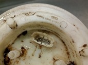 Recambio de aforador para iveco daily iv caja/chasis 35c15 referencia OEM IAM 69500350 69500350 