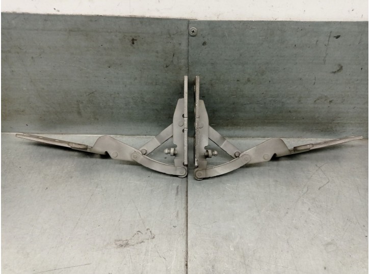 Recambio de bisagra capot para bmw 7 (e65, e66, e67) 730 d referencia OEM IAM 4161ES03  8240333