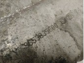 Recambio de carter para volvo s40 berlina 2.0 diesel cat referencia OEM IAM 9653835680 30725818 