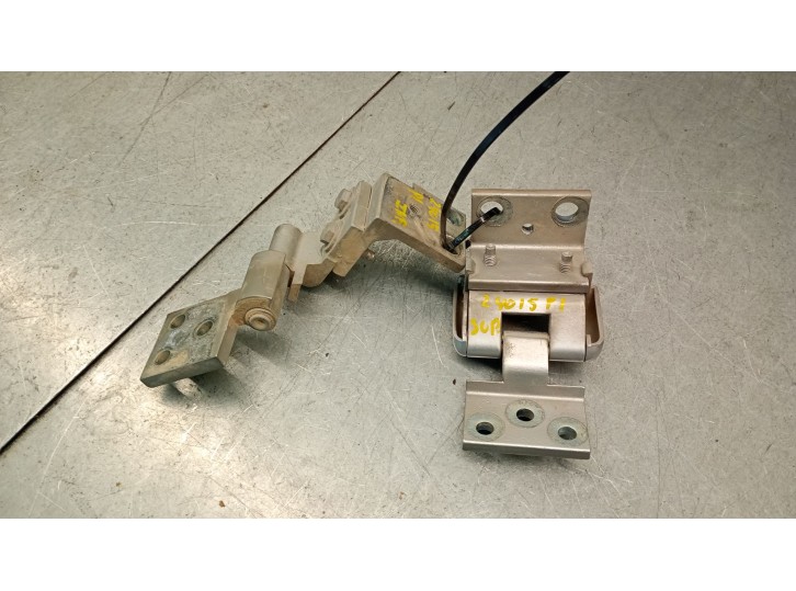 Recambio de bisagra porton para citroën berlingo 2.0 hdi cat (rhy / dw10td) referencia OEM IAM 871772 871772 