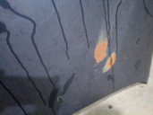 Recambio de capot para mazda 626 berlina (gf) 2.0 turbodiesel referencia OEM IAM GE4T52310H GE4T52310H 