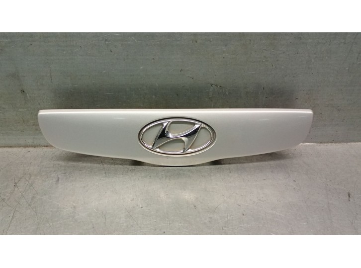 Replacement front moldings for Hyundai Getz (TB) 1.5 CRDi CAT OEM IAM reference 873101C000 873101C000 