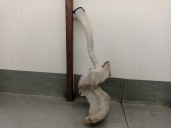 Recambio de deposito limpia para peugeot 3008 i monospace (0u_) 1.6 hdi referencia OEM IAM 9685005580 6431N2 40244085