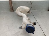 Recambio de deposito limpia para citroën berlingo 1.9 diesel referencia OEM IAM 9647190180L  3523800006