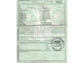 ford focus berlina (cak) del año 1999