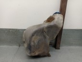 Recambio de deposito limpia para audi a6 berlina (4b2) 2.5 v6 24v tdi referencia OEM IAM 4B0955453C 4B0955453C 