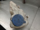 Recambio de deposito limpia para mercedes-benz clase a (w169) 2.0 cdi cat referencia OEM IAM A1698690720 A1698690020 