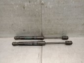 Recambio de amortiguadores capo para bmw 3 gran turismo (f34) 320 d referencia OEM IAM 51217271304 51217271304 