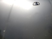 Recambio de capot para daewoo lanos 1.5 cat referencia OEM IAM 96255482 96255482 