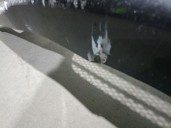 Recambio de paragolpes delantero para bmw 3 touring (e91) 320 d referencia OEM IAM 51117170053 51117170053 