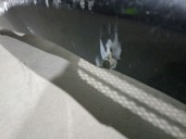 Recambio de paragolpes delantero para bmw 3 touring (e91) 320 d referencia OEM IAM 51117170053 51117170053 