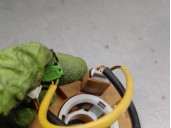 Recambio de anillo airbag para fiat fiorino 1.3 16v jtd cat referencia OEM IAM 59001158  