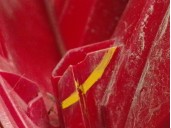 Recambio de piloto trasero derecho para citroën c2 1.4 referencia OEM IAM 9649864480 6350S7 