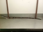 Recambio de molduras delanteras para citroën ds5 2.0 bluehdi 150 referencia OEM IAM 9802824577 96728350VD 