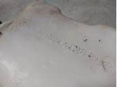 Recambio de deposito limpia para mercedes-benz slk (r170) 230 kompressor (170.447) referencia OEM IAM A1708690120 A1708600260 