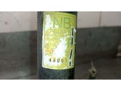 Recambio de amortiguador trasero derecho para daewoo lacetti 1.6 cat referencia OEM IAM 96407822 96407822 