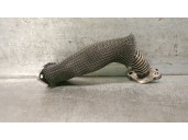 Recambio de tubo para renault laguna ii (bg0) 2.0 dci diesel cat referencia OEM IAM 8200347853 8200940347 