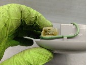 Recambio de luz interior para hyundai accent (x3) 1.3 cat referencia OEM IAM 9280022000IA 9280022000IA 