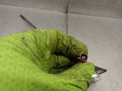 Recambio de antena para audi a1 sportback (8xa, 8xf) 1.4 tdi referencia OEM IAM 8X0035501A 8X0035501A 