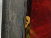 Recambio de piloto trasero derecho para bmw serie 3 compact (e46) 2.0 16v diesel cat referencia OEM IAM 63216927764 63216934162 