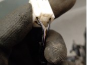 Recambio de piloto trasero derecho para hyundai bayon (bc3) 1.2 mpi referencia OEM IAM 92402Q0500 92402Q0500 