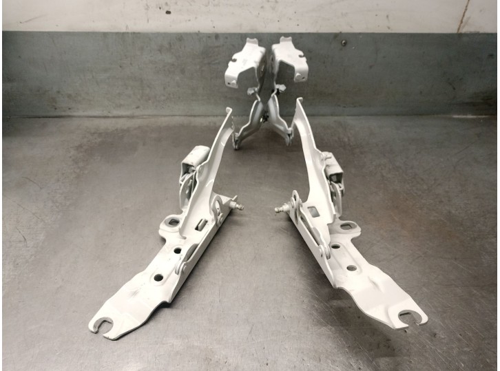 Recambio de bisagra capot para bmw 2 active tourer (u06) 220i mild hybrid referencia OEM IAM 7300521 41009632501 