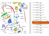 Recambio de cerradura maletero / porton para ford transit courier b460 furgoneta/monovolumen 1.5 tdci referencia OEM IAM ET76A43