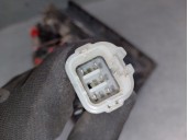 Recambio de piloto trasero derecho para tata safari ex safari 4x4 2.0 referencia OEM IAM 483DLTC49  