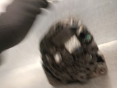 Recambio de alternador para dacia sandero ii 1.2 16v cat referencia OEM IAM 231008386R 231008386R F000BL0457