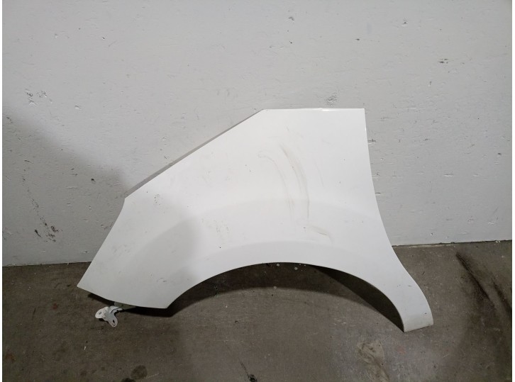 Recambio de aleta delantera izquierda para citroën c3 ii 1.2 12v referencia OEM IAM HM01  