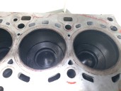 Recambio de bloque para mini mini countryman (r60) cooper d referencia OEM IAM N47C16A 11112182530 73527825