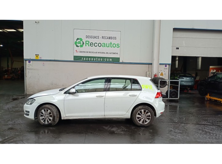VOLKSWAGEN GOLF VII (5G1, BQ1, BE1, BE2)
