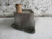 Recambio de enfriador aceite motor para hyundai i20 i (pb, pbt) 1.4 crdi referencia OEM IAM 1008130477 KORENS