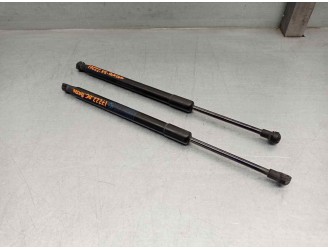 Replacement boot / tailgate struts for BMW 3 Series coupe (E92) 2.0 16V CAT OEM IAM reference 51247129194 