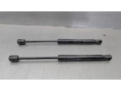 Recambio de amortiguadores capo para land rover evoque 2.2 sd4 cat referencia OEM IAM BJ3216C826AA 0430N 