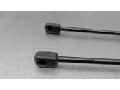 Recambio de amortiguadores capo para land rover evoque 2.2 sd4 cat referencia OEM IAM BJ3216C826AA 0430N 