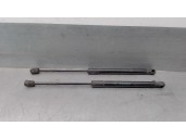 Recambio de amortiguadores capo para bmw x5 (e70) 3.0 turbodiesel referencia OEM IAM 51327148346 