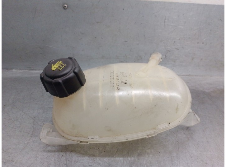 Recambio de deposito expansion para dacia duster ii 1.5 blue dci diesel fap cat referencia OEM IAM 217101878R  