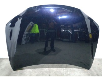 Recambio de capot para lexus ct (zwa10_) 200h (zwa10_) referencia OEM IAM 5330176010 5330176010 