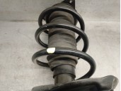Recambio de amortiguador delantero izquierdo para nissan x-trail (t32) 1.6 dci turbodiesel cat referencia OEM IAM E43034CB1D E43