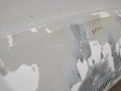 Recambio de capot para peugeot boxer caja/chasis 2.2 hdi 100 referencia OEM IAM 7901N8 7901N8 