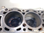 Recambio de bloque para citroën c8 2.0 hdi fap referencia OEM IAM RH02 0130EC 4006347