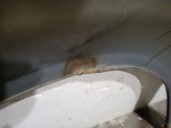 Recambio de aleta delantera derecha para chrysler grand voyager v (rt) 2.8 crd referencia OEM IAM 68029130AA 68029130AA 