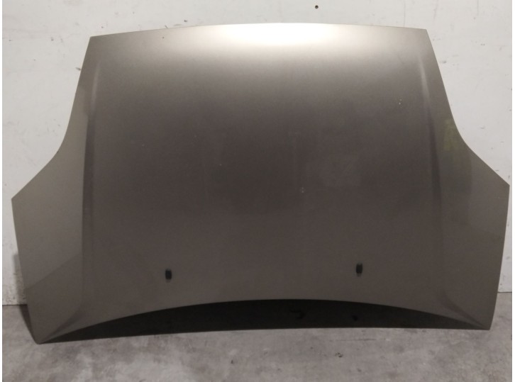 Recambio de capot para ford fiesta (cbk) 1.4 16v cat referencia OEM IAM 1346646 1346646